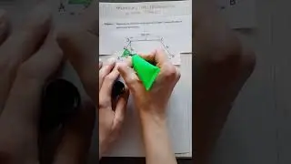 Trigonometrie im Trapez