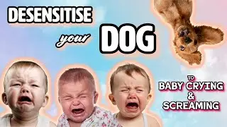 ONE HOUR of BABY CRYING AND SCREAMING SOUNDS to desensitise your dog.