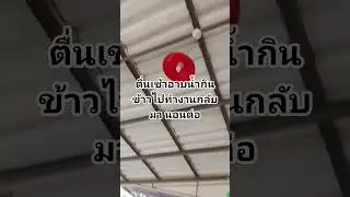 #คำคมชีวิต #ai #stitch #ธรรมชาติฮีลใจ