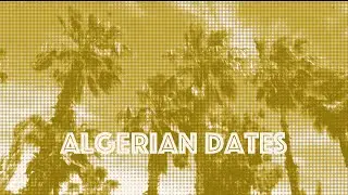 Ba Balance / Krudtmejer &ndash; Algerian Dates (Music Video) | Lo Fi Desert Groove meets Reggae
