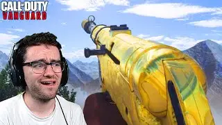 I UNLOCKED GOLD CAMO ON VANGUARD already because I have no life