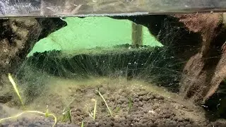 【45】　なんかモヤモヤしたのあるなー。