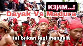 Dayak vs Madura - Sejarah Tr4gedi P3r4ng S3ngit di Kalimantan