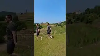 Having fun in Gori&scaron;ka Brda with insta360 #slovenia #insta360