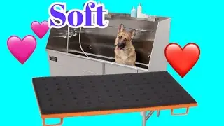 🐶❤️ THE BEST DOG BATHTUB MAT 2023❤️🐶#dogbath #dog
