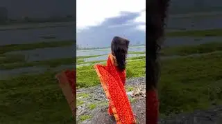 woh Lamhe Lo-Fi Mix 🧡 | konicschini
