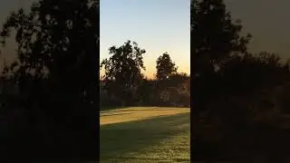 SkySurfer Personal aircraft take-off, manned drone #shorts