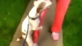 The Sims Unleashed TV commercial