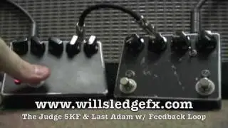 The Judge 5KF and Last Adam Proco Rat Clone with Feedback Loop