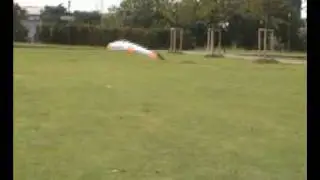 TRICKTAIL kite poison ivy