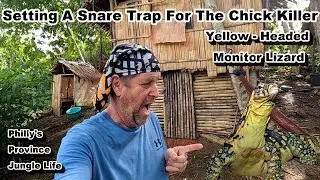 SETTING A SNARE TRAP FOR  YELLOW - HEADED MONITOR LIZARD - PHILLY'S PROVINCE JUNGLE LIFE #travel