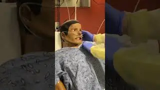 Студенты, обучающиеся по программам #PA и #Nursing, учатся работать в команде в Бостонской симуля...
