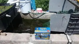 Nueva cabeza de poder para el estanque