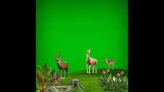 Green screen deer