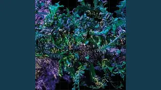 The Crystal World