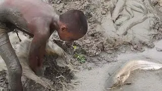 Catfish hunt from a mud water in pond | Smart boy the village admitted many catfish in muddy water