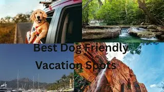 ***Best Dog Friendly Vacation Spots***