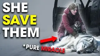 A Freezing Wolf Family Appeared at a Grieving Mother&rsquo;s Door in a Blizzard