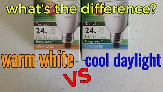 light bulbs - the different types of light - WARM WHITE vs COOL DAYLIGHT energy saver