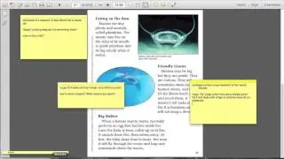 Monitoring Comprehension