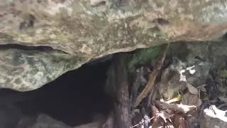 Mixerr visits Cotterell Cave.