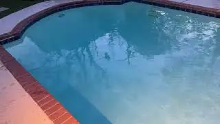 Spic and Span 🧼🏊🏾&zwj;♂️