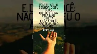 #meditar na palavra