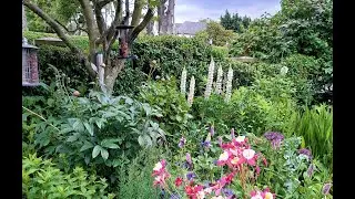 Early Summer garden tidy up
