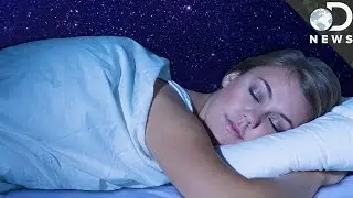 Why Aren&rsquo;t Humans Naturally Nocturnal?