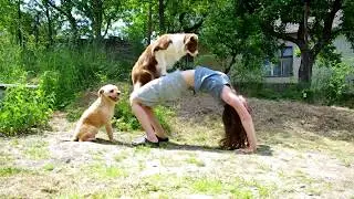 JADE, JUSTY & JERRY - the DOG personal trainers