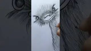 Ostrich face drawing #howtodraw #shorts #viral #drawing #fyp #animals #ostrich