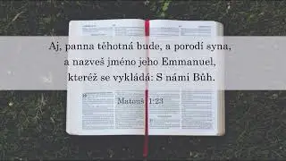 Biblick&aacute; cesta do nebe - The Bible Way to Heaven Czech