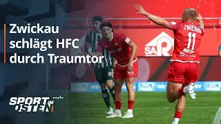 Hallescher FC l&auml;sst auch beim FSV Zwickau Punkte liegen | MDR