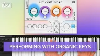 Performing with Organic Keys for Falcon