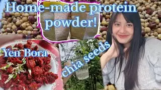 Khoii Paa ga Thbk  Ama Chtlubane//Low budget Protein powder 👆