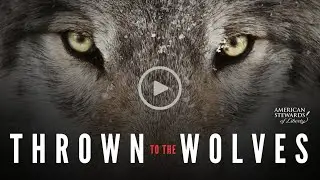 Thrown to the Wolves