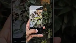Oppo Reno 13 5g Camera Test 🔥 #opporeno13 #cameratest #oppo
