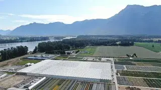 Drone Tour of Qualitree - June 2021