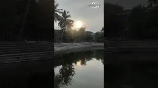 Pond Vibe