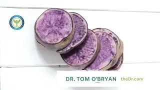 The Magic of Purple Potatoes, Celery and Parsley with Dr. Tom O'Bryan and Michelle Ross