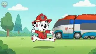Copycat Dance 🎵🐾 PAW Patrol Songs