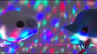 How about doing Karaoke with Seal and Dolphin Jimmy? - with clover & sealife 