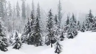 Rohtang Pass Manali || Heavy Snowfall In Manali  Rohtang Pass 2019