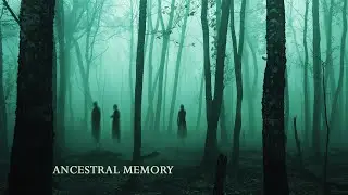 Ancestral Memory | Dark Ambient &middot; Ancient Forest Emptiness Soundscape