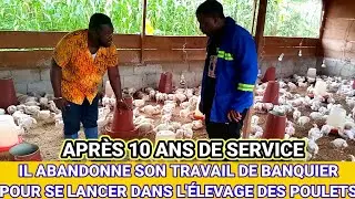 IL ABANDONNE SON TRAVAIL DE BANQUIER POUR SE LANCER DANS L'ÉLEVAGE DE POULETS APRÈS 10 ANS DESERVICE