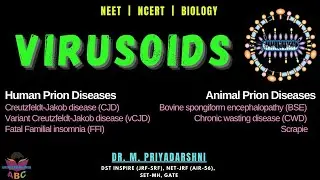 virusoids |single-stranded RNA|Circular satellite RNA|helper viruses|STMV|rolling circle replication