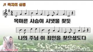 목자의 심정✨(목마른 사슴이 시냇물 찾듯)