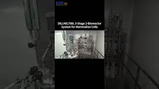 30L140L700L Scalable GMP Mammalian Cell Bioreactor System | KNIKbio