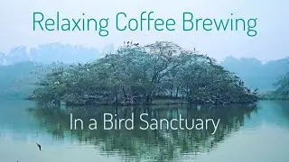 Relaxing coffee brewing in nature, ASMR - birds sounds ambience