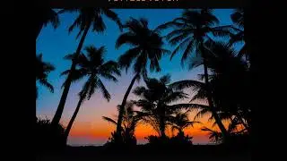 Jay Vegas - Jungle Fever (Original Mix)
